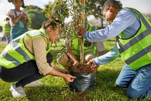 Pet Cremation Ash Donation | Living Memorial | Nourish Local Tree Planting Efforts With Your Transformed Pet Cremation Ash