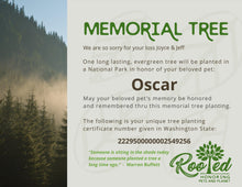 Rooted Pet Memorial | Tree Planting Packages