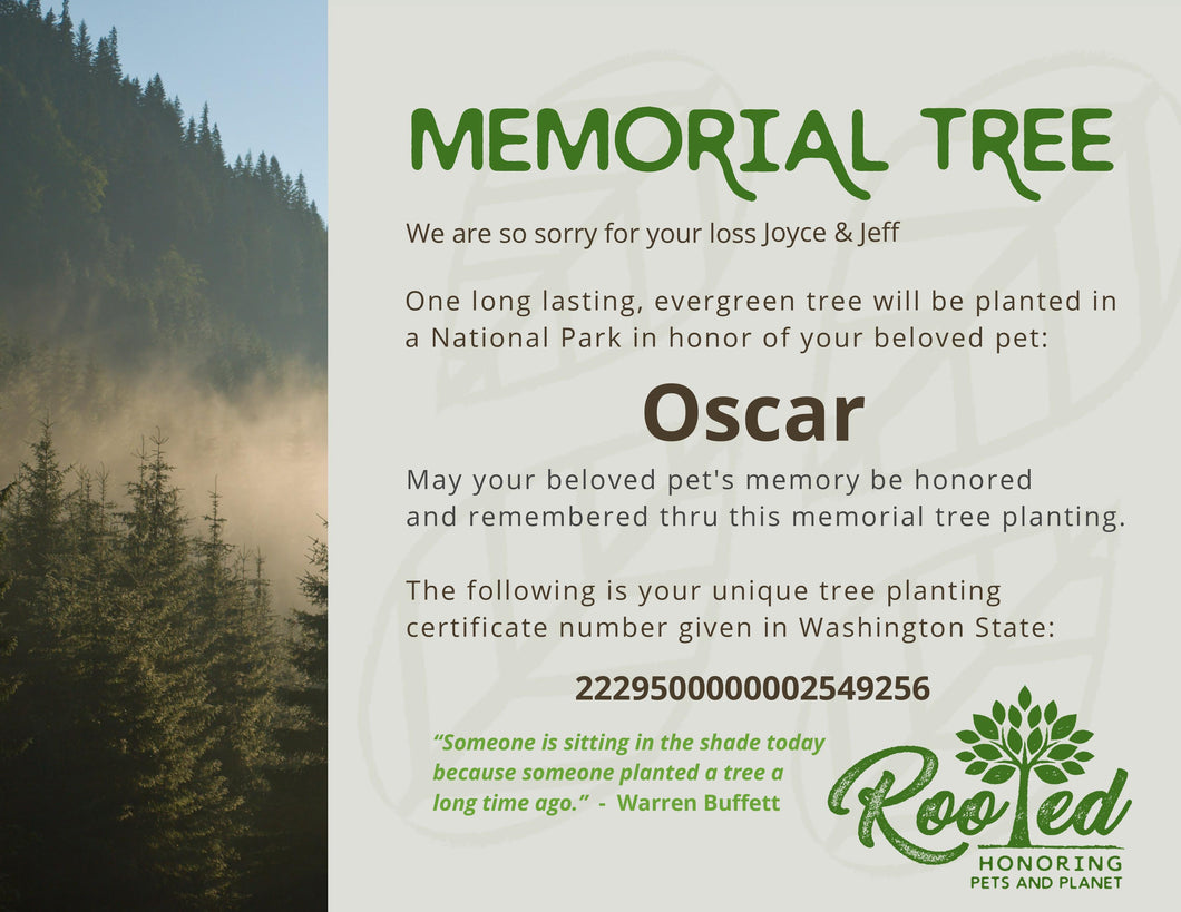 Rooted Pet Memorial  Tree Planting Certificate - Paper – RootedPet.com