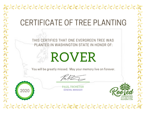 Rooted Pet Memorial | Tree Planting Certificate - Electronic