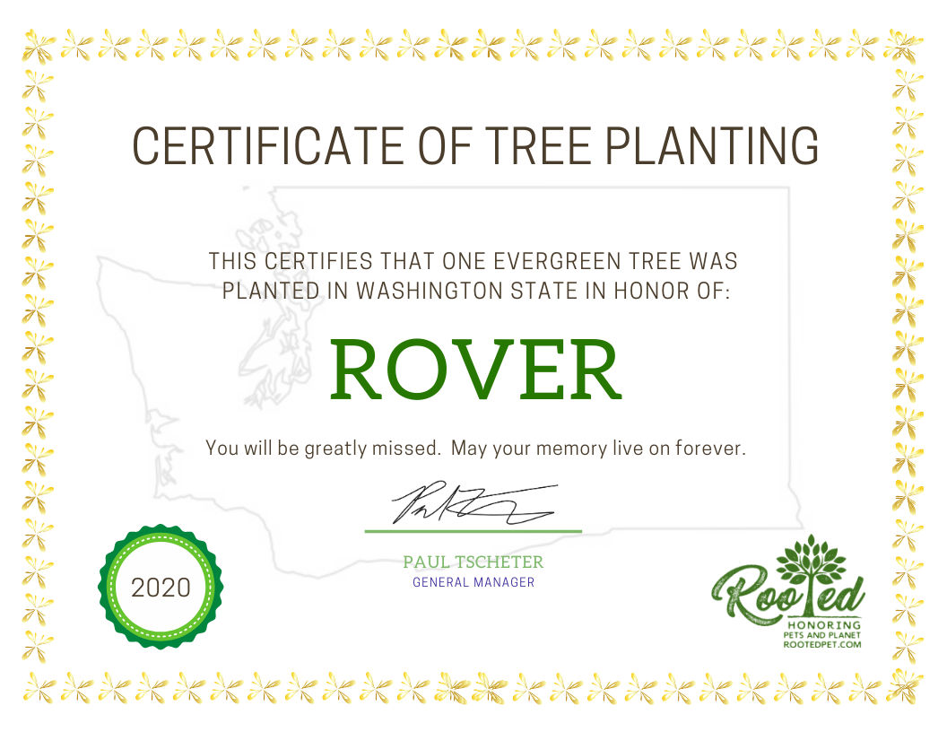 Rooted Pet Memorial | Tree Planting Certificate - Paper