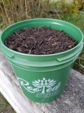 Pet Ash Recomposition | Living Memorial | Your Transformed Pet Cremation Ash into Nutrient Rich Soil