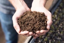 Pet Ash Recomposition | Living Memorial | Your Transformed Pet Cremation Ash into Nutrient Rich Soil